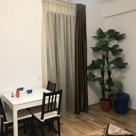 Apartment Panoramic Mirror