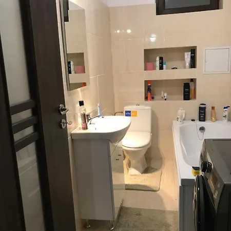 Panoramic Mirror Apartment Bucharest